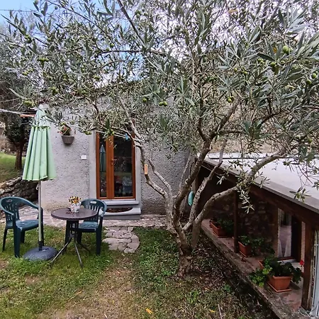 Bed and breakfast Casale Agrifoglio -